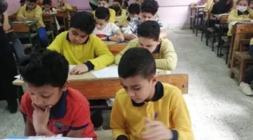 بالرقم القومي.. رابط نتيجة صفوف النقل عبر بوابة التعليم الأساسي لعام 2026